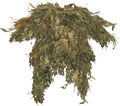 Ghillie Top